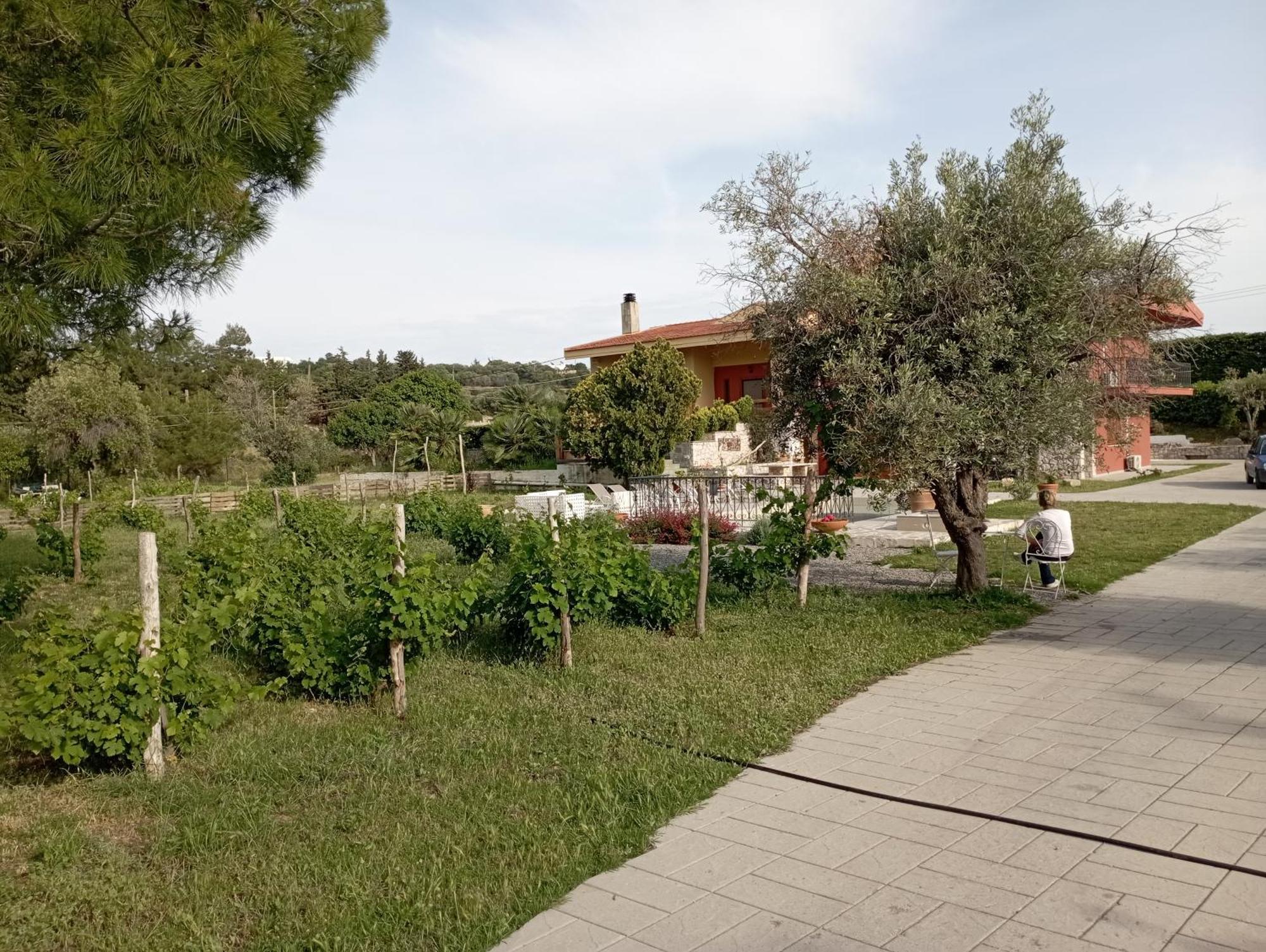 Emarmene Home With Private Pool Near Rhodes Town & Airport Koskinou  Exterior photo